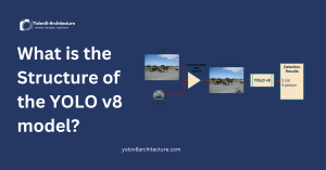 What is the Structure of the YOLO v8 model?